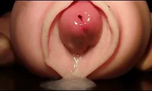 性别歧视的案例研究反种族画廊的色情片